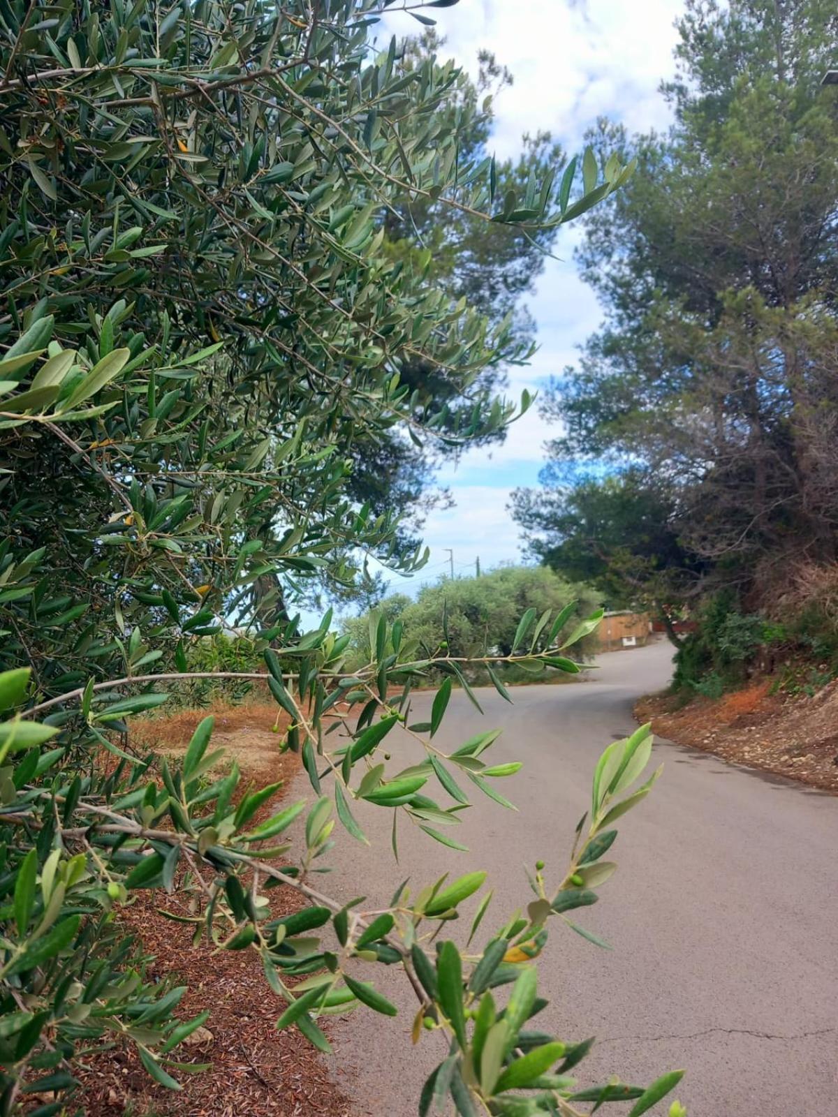 Dolci Risvegli Appartamento Vista Mare Βεντιμίλια Εξωτερικό φωτογραφία