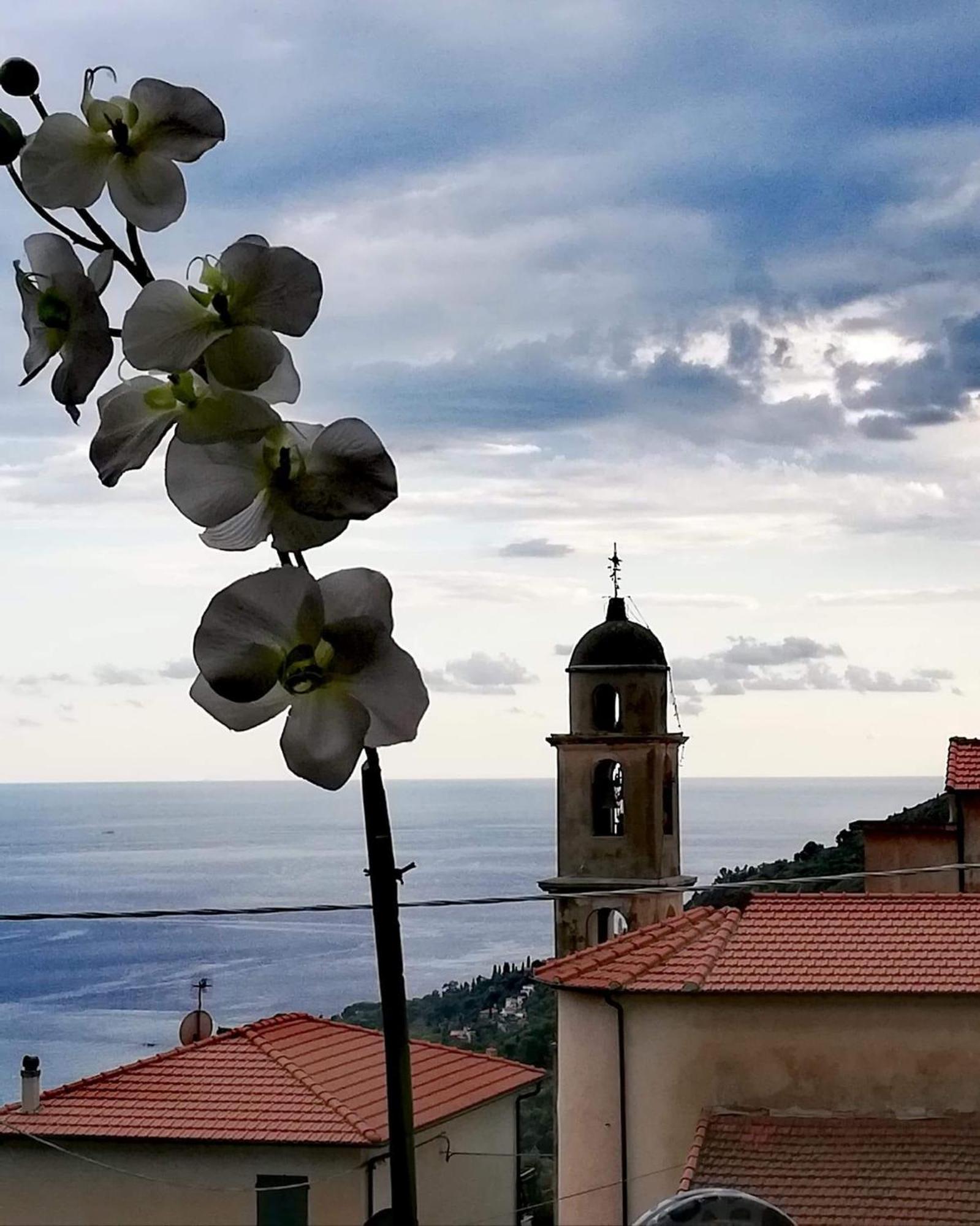 Dolci Risvegli Appartamento Vista Mare Βεντιμίλια Εξωτερικό φωτογραφία