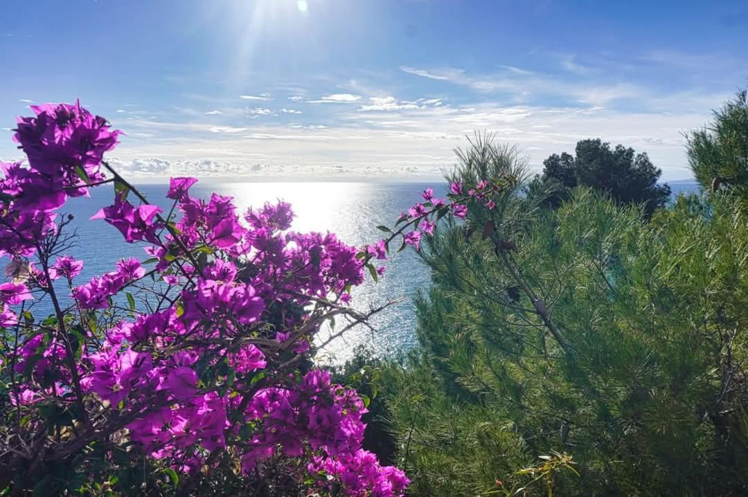 Dolci Risvegli Appartamento Vista Mare Βεντιμίλια Εξωτερικό φωτογραφία