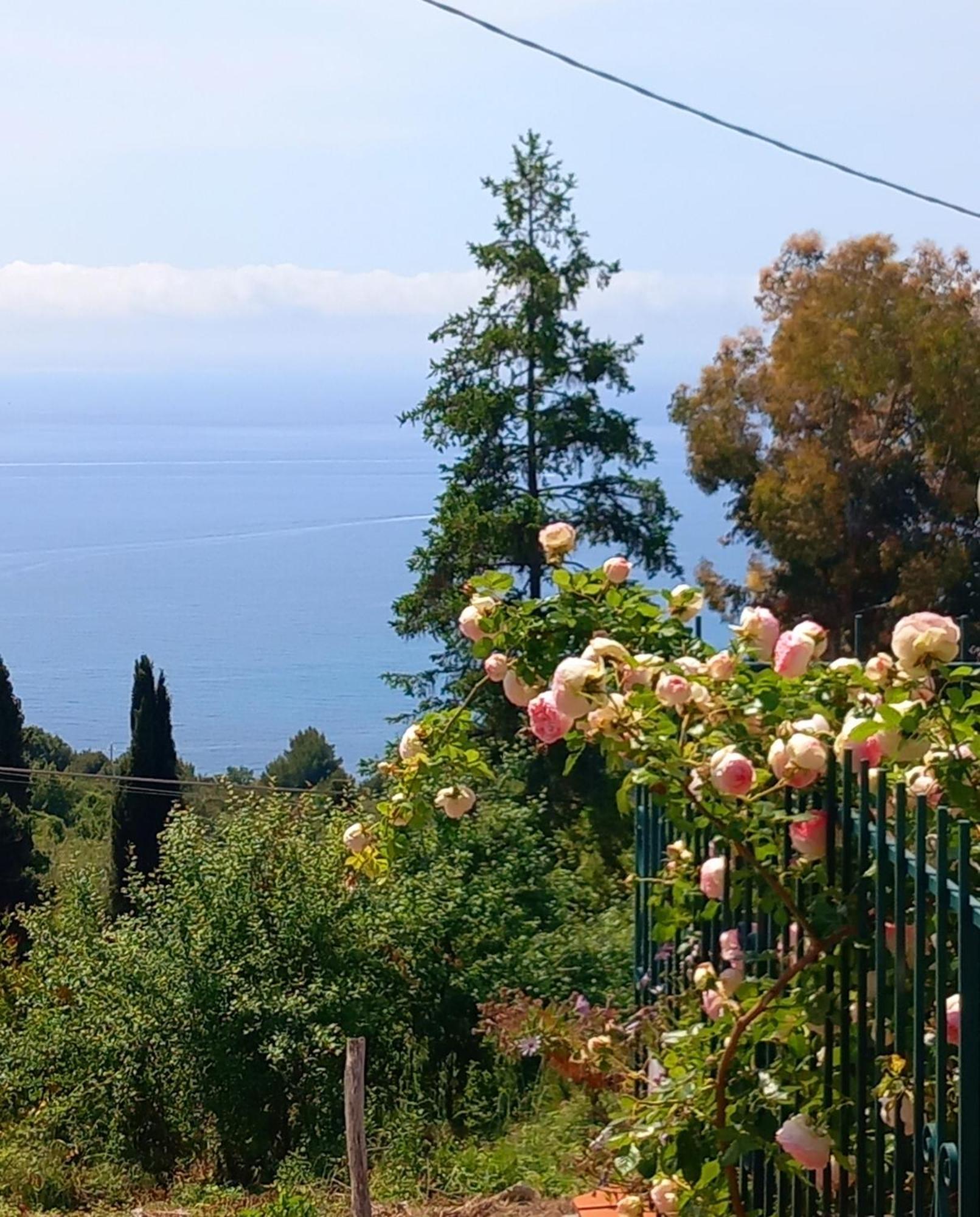 Dolci Risvegli Appartamento Vista Mare Βεντιμίλια Εξωτερικό φωτογραφία